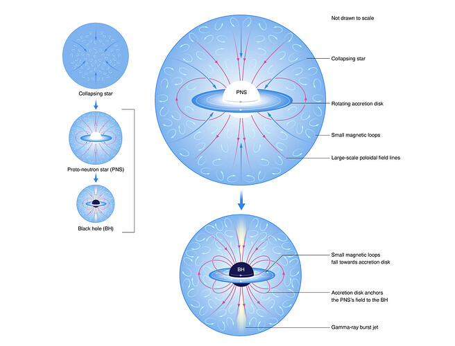 Screenshot-2024-11-19-084119