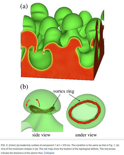 2025-07-29 10_53_37-Figure 2 from Rayleigh-Taylor instability and mushroom-pattern formation in a tw