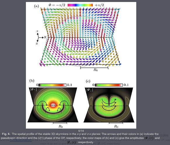 2025-07-24 22_57_41-The research progress of topological properties in spinor Bose-Einstein condensa