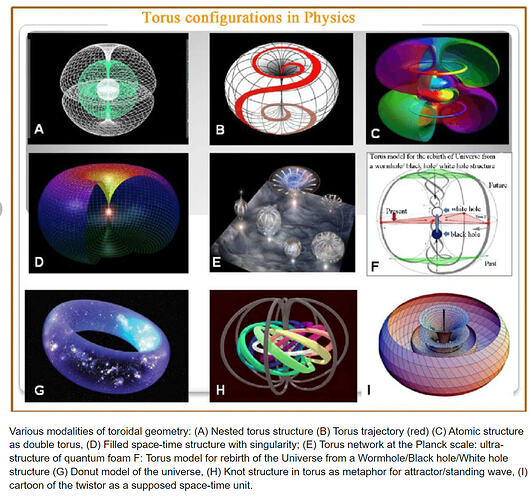 2023-08-03 23_38_49-Various modalities of toroidal geometry_ (A) Nested torus structure (B)... _ Dow