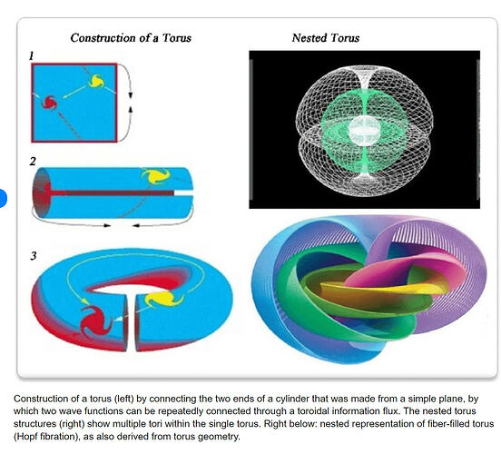 2023-08-06 20_15_04-Construction of a torus (left) by connecting the two ends of a cylinder... _ Dow