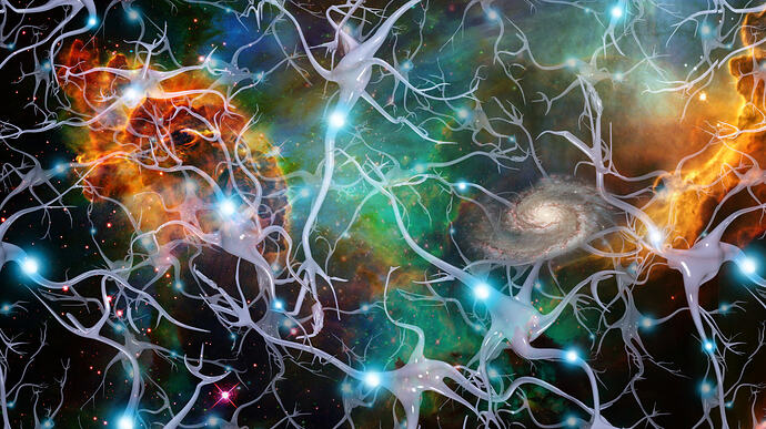 3_4267x2400_px_Anatomy_brain_d_digital_dream_galaxy-1675755-1458773096