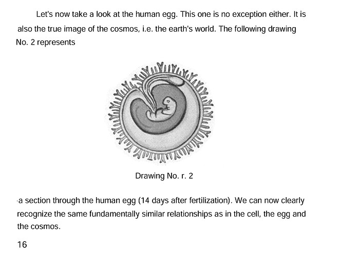 2024-12-05 16_15_41-Johannes-Lang-Die-Hohlwelttheorie-The-Hollow-World-Theory-English-translation-19