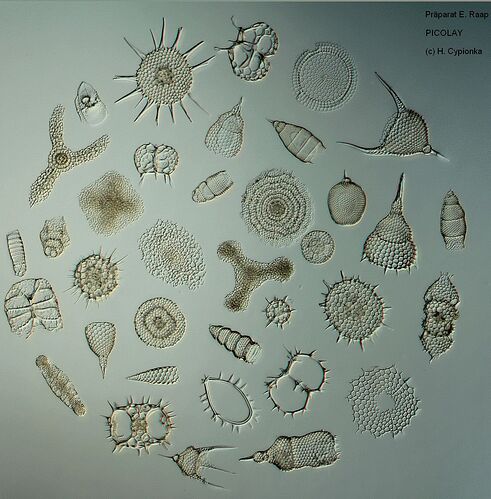 e24eef33da282991b7fcf63155560b02