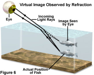 refractionfigure6