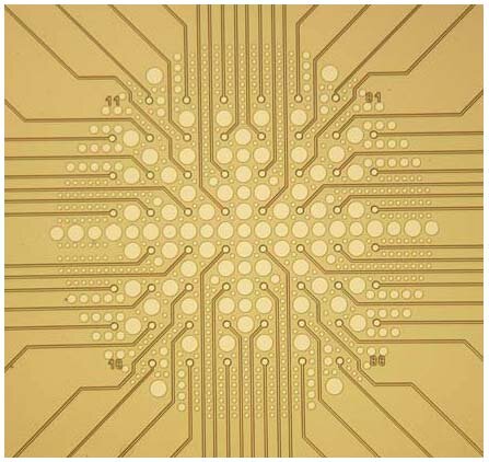 Layout-of-the-60-electrode-pMEA-The-electrodes-are-arranged-in-an-868-array-with-200-mm