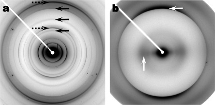 1-s2.0-S193764481630082X-f07-06-9780128122518