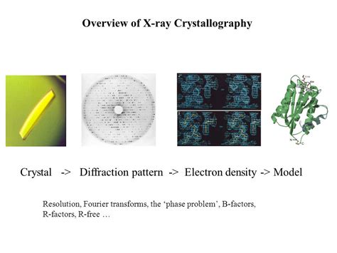 OIP-1201660137.nlzSPZjivKGqRMWTdL2xqQHaFj