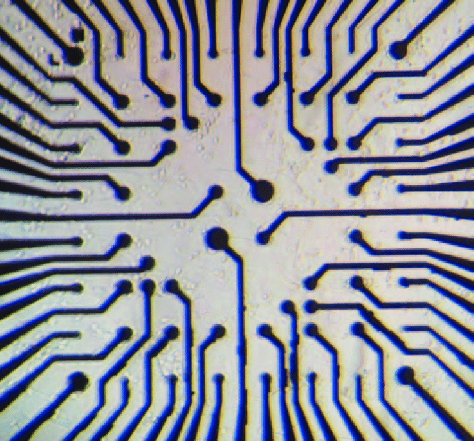 The-photo-of-microelectrode-arrays-1350198563 quantum photonics