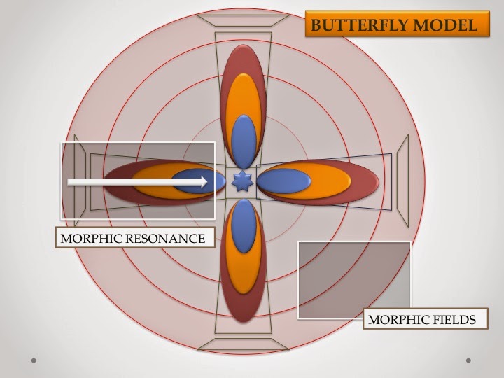 Diapositiva2-3284844194