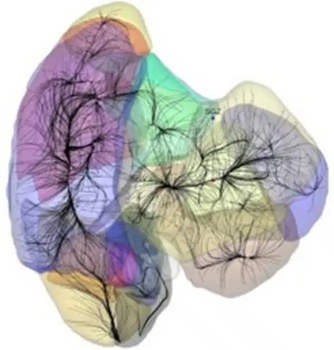 Velocity-Streamlines.jpg-2751365073