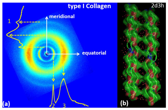 Wide Angle X-Ray Scattering to Study the Atomic Structure of Polymeric Fibers